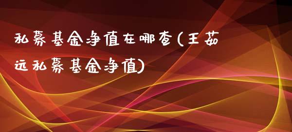 私募基金净值在哪查(王茹远私募基金净值)_https://www.yunyouns.com_股指期货_第1张