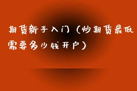 期货新手入门（炒期货最低需要多少钱开户）_https://www.yunyouns.com_期货直播_第1张