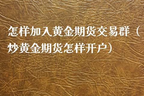 怎样加入黄金期货交易群（炒黄金期货怎样开户）_https://www.yunyouns.com_恒生指数_第1张