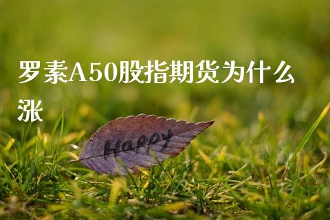 罗素A50股指期货为什么涨_https://www.yunyouns.com_期货直播_第1张