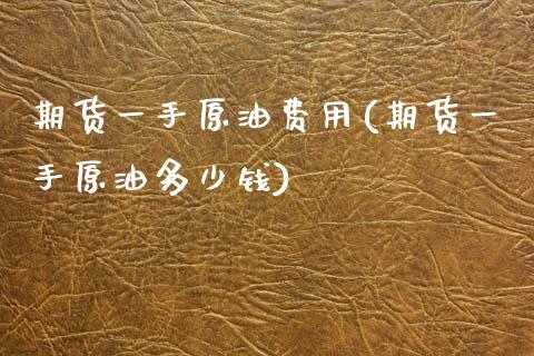 期货一手原油费用(期货一手原油多少钱)_https://www.yunyouns.com_股指期货_第1张