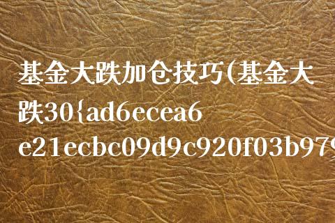 基金大跌加仓技巧(基金大跌30%怎么加仓)_https://www.yunyouns.com_恒生指数_第1张