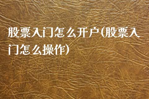 股票入门怎么开户(股票入门怎么操作)_https://www.yunyouns.com_期货行情_第1张