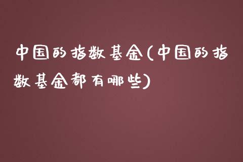 中国的指数基金(中国的指数基金都有哪些)_https://www.yunyouns.com__第1张