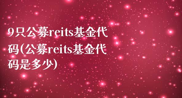 9只公募reits基金代码(公募reits基金代码是多少)_https://www.yunyouns.com_期货直播_第1张