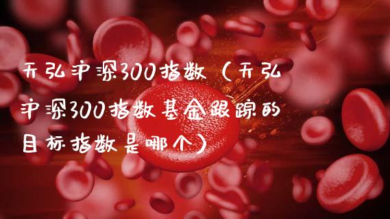 天弘沪深300指数（天弘沪深300指数基金的目标指数是哪个）_https://www.yunyouns.com_恒生指数_第1张