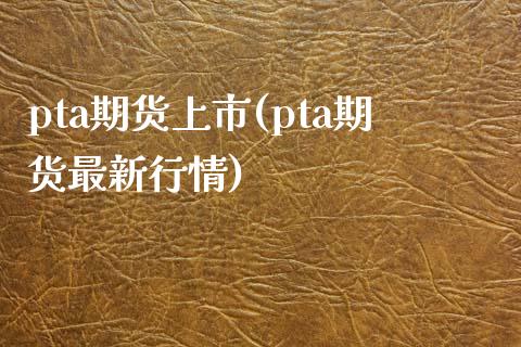 pta期货上市(pta期货最新行情)_https://www.yunyouns.com_期货行情_第1张