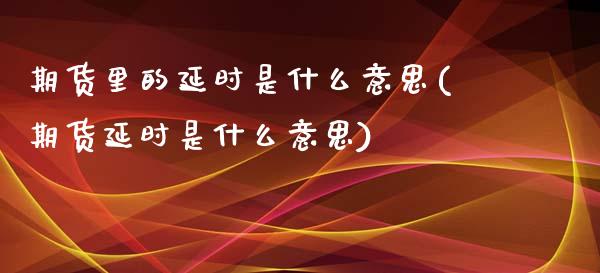 期货里的延时是什么意思(期货延时是什么意思)_https://www.yunyouns.com_恒生指数_第1张