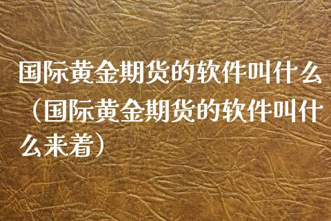 国际黄金期货的软件叫什么（国际黄金期货的软件叫什么来着）_https://www.yunyouns.com_股指期货_第1张