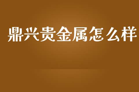 鼎兴贵金属怎么样_https://www.yunyouns.com_股指期货_第1张