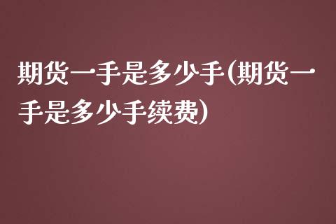 期货一手是多少手(期货一手是多少手续费)_https://www.yunyouns.com_恒生指数_第1张