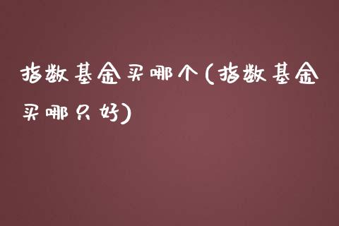 指数基金买哪个(指数基金买哪只好)_https://www.yunyouns.com_恒生指数_第1张