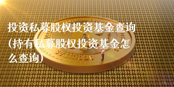 投资私募股权投资基金查询(持有私募股权投资基金怎么查询)_https://www.yunyouns.com_期货直播_第1张