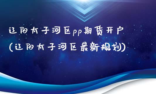 辽阳太子河区pp期货开户(辽阳太子河区最新规划)_https://www.yunyouns.com_期货行情_第1张