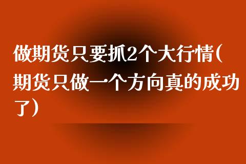 做期货只要抓2个大行情(期货只做一个方向真的成功了)_https://www.yunyouns.com_期货行情_第1张