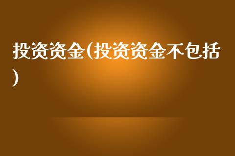 投资资金(投资资金不包括)_https://www.yunyouns.com_恒生指数_第1张