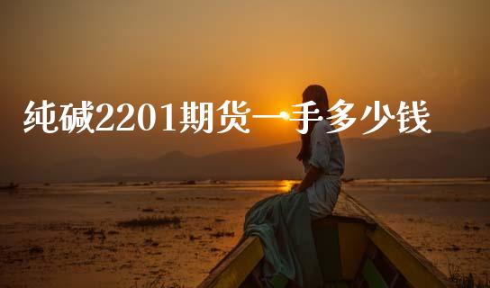 纯碱2201期货一手多少钱_https://www.yunyouns.com_股指期货_第1张