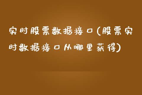 实时股票数据接口(股票实时数据接口从哪里获得)_https://www.yunyouns.com_期货直播_第1张