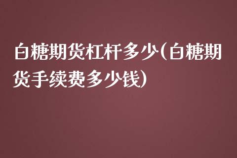 白糖期货杠杆多少(白糖期货手续费多少钱)_https://www.yunyouns.com_期货直播_第1张