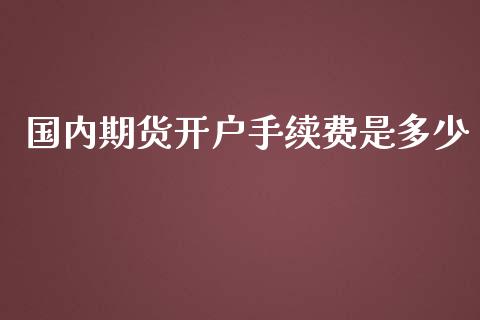 国内期货开户手续费是多少_https://www.yunyouns.com_期货直播_第1张