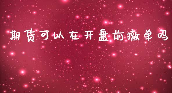 期货可以在开盘前撤单吗_https://www.yunyouns.com_期货直播_第1张