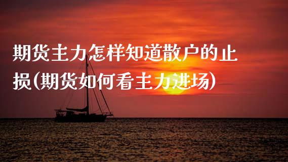 期货主力怎样知道散户的止损(期货如何看主力进场)_https://www.yunyouns.com_股指期货_第1张