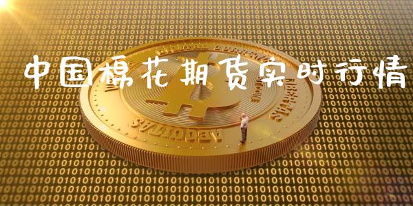 中国棉花期货实时行情_https://www.yunyouns.com_恒生指数_第1张