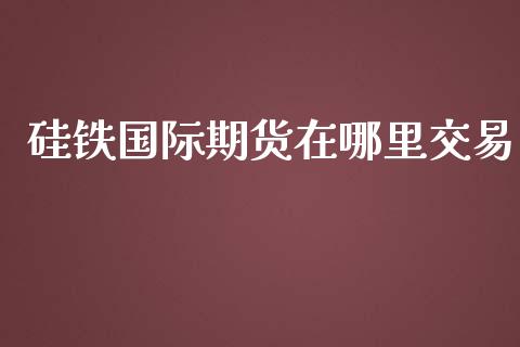 硅铁国际期货在哪里交易_https://www.yunyouns.com_期货行情_第1张