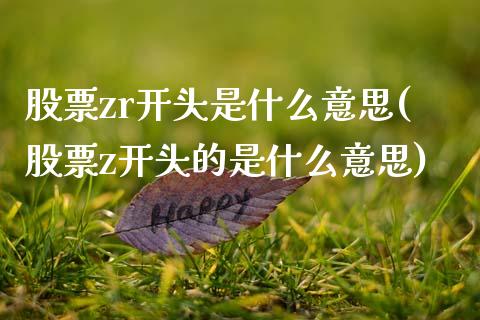 股票zr开头是什么意思(股票z开头的是什么意思)_https://www.yunyouns.com_股指期货_第1张