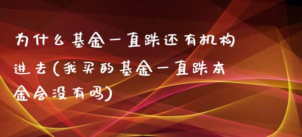 为什么基金一直跌还有机构进去(我买的基金一直跌本金会没有吗)_https://www.yunyouns.com_股指期货_第1张