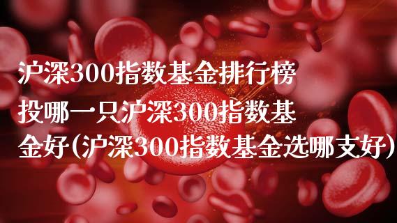 沪深300指数基金排行榜投哪一只沪深300指数基金好(沪深300指数基金选哪支好)_https://www.yunyouns.com_期货行情_第1张