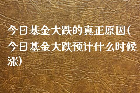 今日基金大跌的真正原因(今日基金大跌预计什么时候涨)_https://www.yunyouns.com_期货直播_第1张