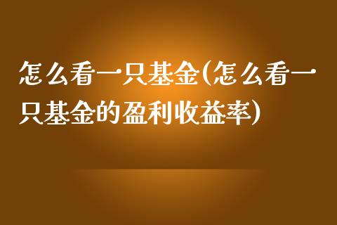 怎么看一只基金(怎么看一只基金的盈利收益率)_https://www.yunyouns.com_恒生指数_第1张