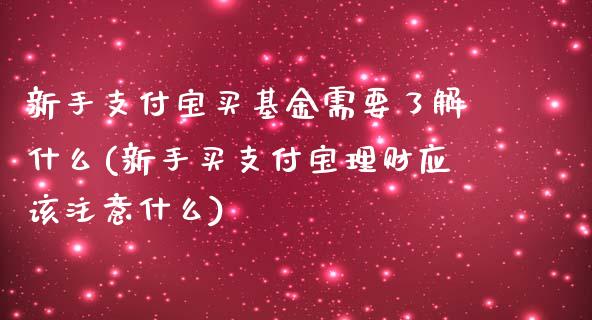 新手支付宝买基金需要了解什么(新手买支付宝理财应该注意什么)_https://www.yunyouns.com_恒生指数_第1张