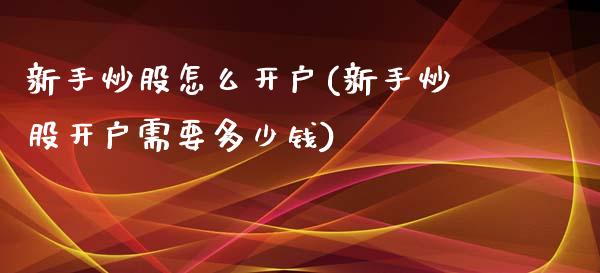 新手炒股怎么开户(新手炒股开户需要多少钱)_https://www.yunyouns.com_期货直播_第1张