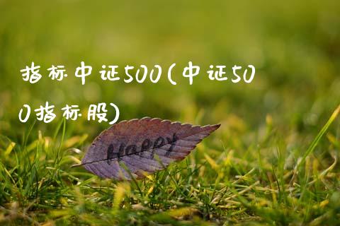 指标中证500(中证500指标股)_https://www.yunyouns.com_股指期货_第1张