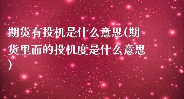 期货有投机是什么意思(期货里面的投机度是什么意思)_https://www.yunyouns.com_股指期货_第1张