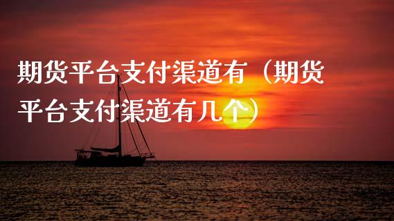 期货平台支付渠道有（期货平台支付渠道有几个）_https://www.yunyouns.com_期货直播_第1张