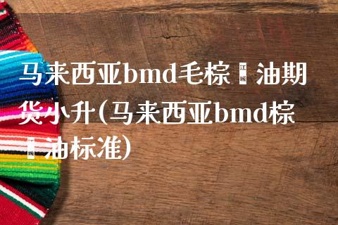 马来西亚bmd毛棕榈油期货小升(马来西亚bmd棕榈油标准)_https://www.yunyouns.com_恒生指数_第1张