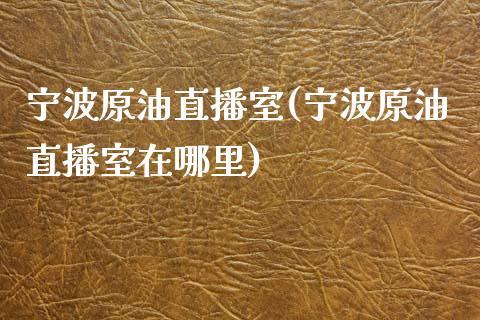 宁波原油直播室(宁波原油直播室在哪里)_https://www.yunyouns.com_期货行情_第1张