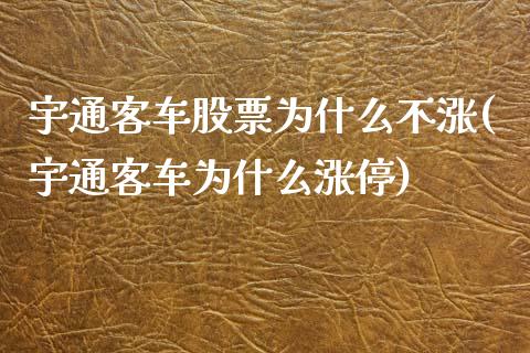 宇通客车股票为什么不涨(宇通客车为什么涨停)_https://www.yunyouns.com_恒生指数_第1张