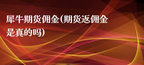 犀牛期货佣金(期货返佣金是真的吗)_https://www.yunyouns.com_期货直播_第1张