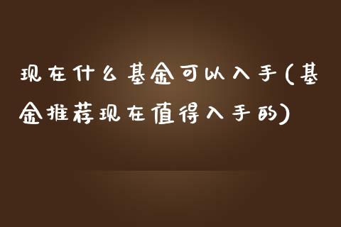 现在什么基金可以入手(基金推荐现在值得入手的)_https://www.yunyouns.com_期货行情_第1张