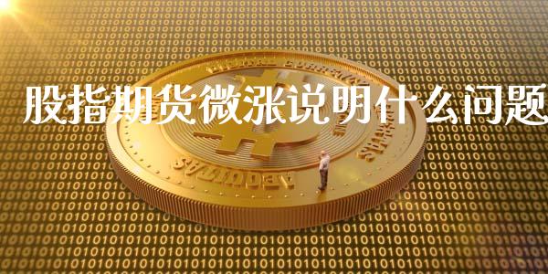 股指期货微涨说明什么问题_https://www.yunyouns.com_恒生指数_第1张