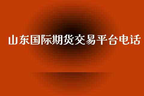 山东国际期货交易平台电话_https://www.yunyouns.com_期货直播_第1张