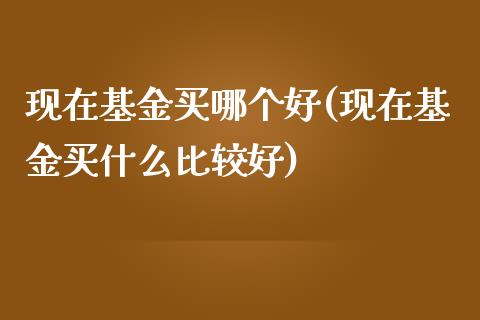 现在基金买哪个好(现在基金买什么比较好)_https://www.yunyouns.com_期货行情_第1张