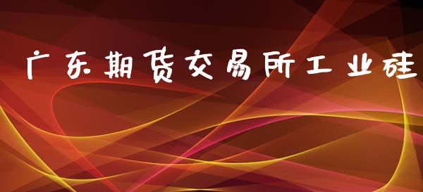 广东期货交易所工业硅_https://www.yunyouns.com_期货直播_第1张