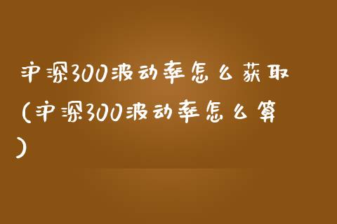 沪深300波动率怎么获取(沪深300波动率怎么算)_https://www.yunyouns.com_股指期货_第1张