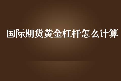 国际期货黄金杠杆怎么计算_https://www.yunyouns.com_期货直播_第1张