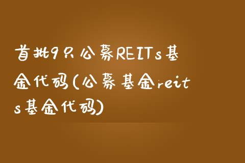 首批9只公募REITs基金代码(公募基金reits基金代码)_https://www.yunyouns.com_恒生指数_第1张